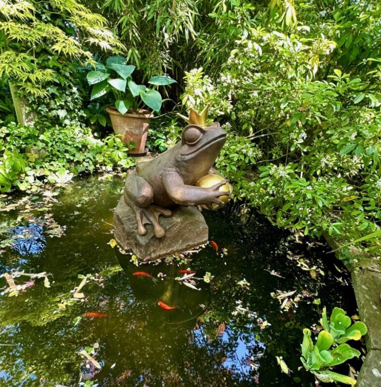 FROSCHKÖNIG