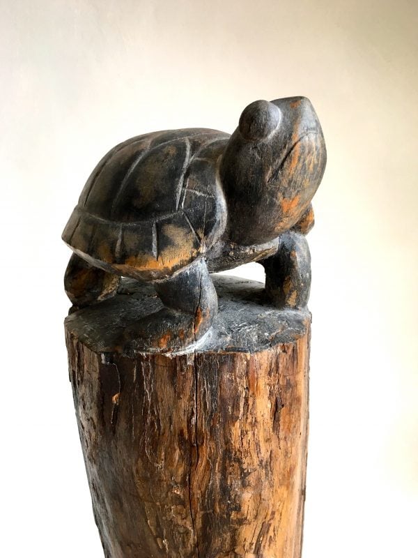 SCHILDKRÖTE